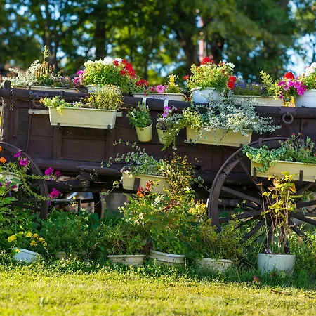 Na Kopci Gasthof Banská Štiavnica